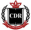 Consumer Debt Resolution LLC